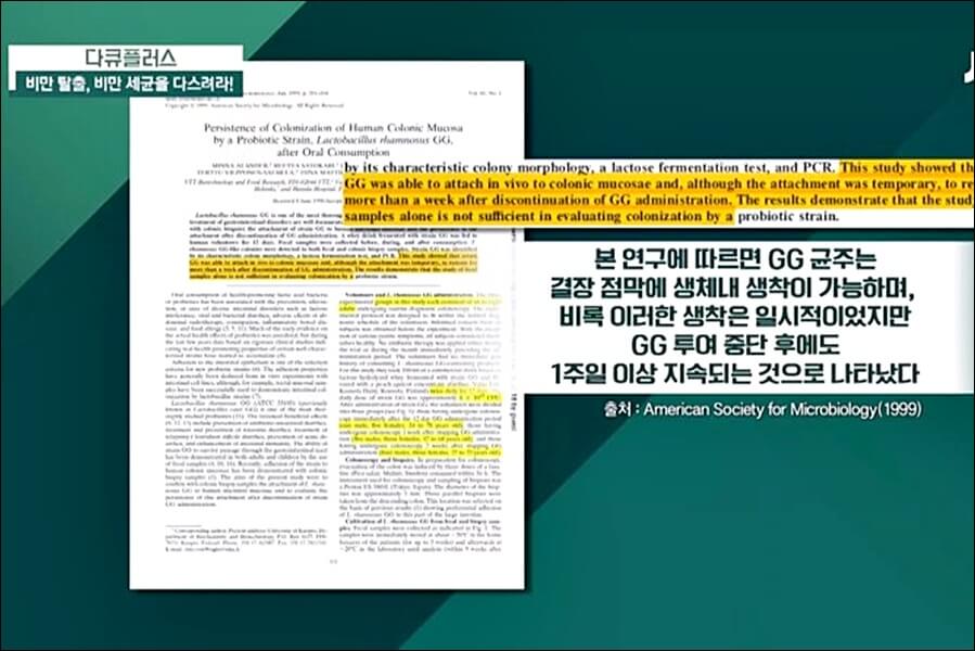 LGG 유산균 추천제품 및 효능