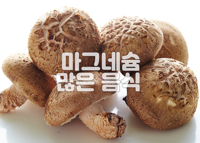 표고버섯 이미지