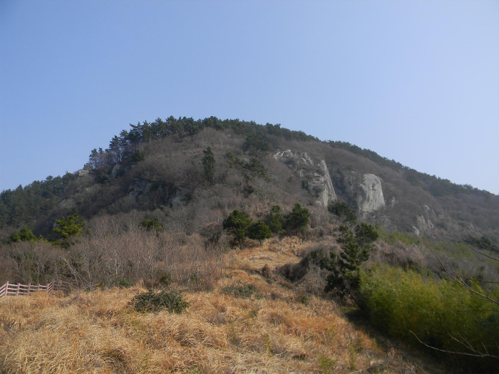 금오도 대부산