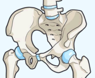 고관절통증 증상과 원인