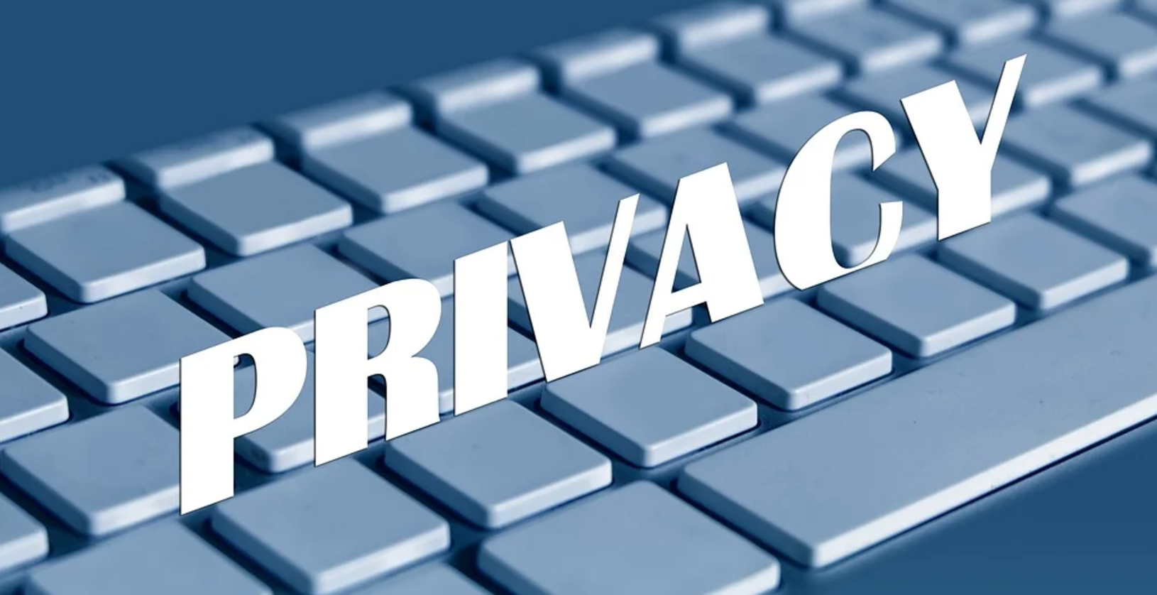 프라이버시 보호