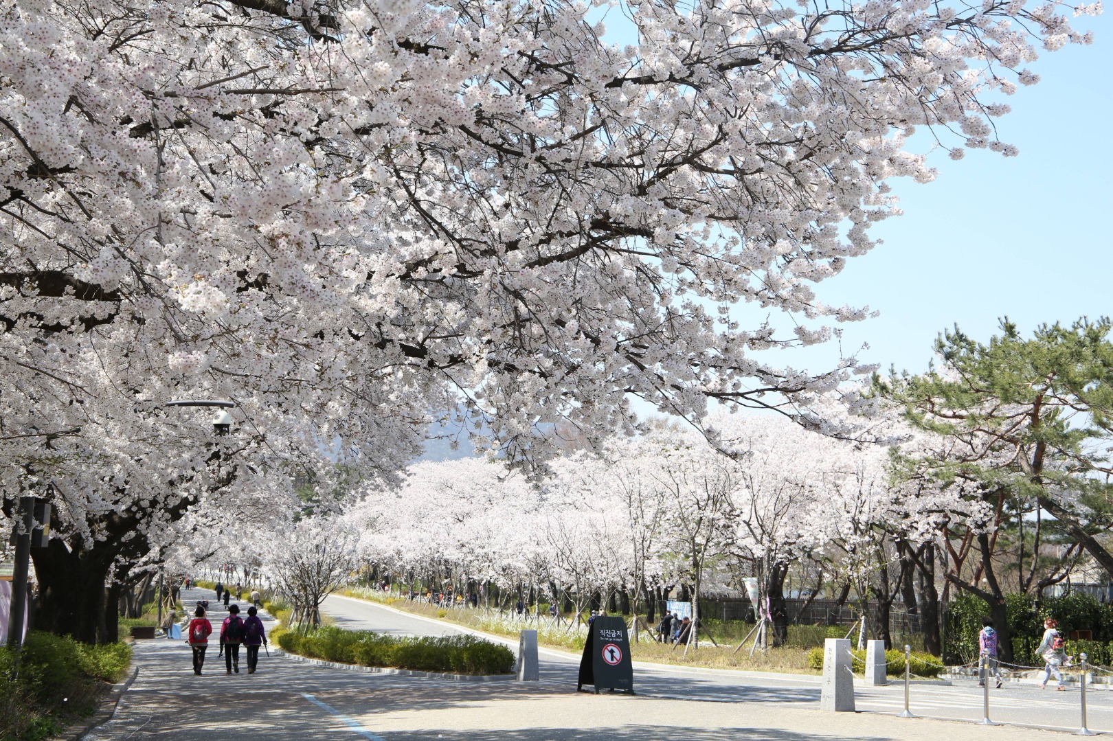 서울대공원