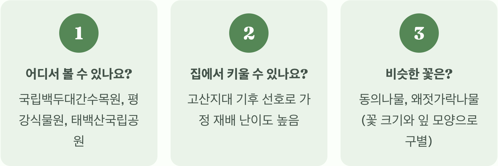 천상의 황금빛 꽃, 금매화란 무엇인가?