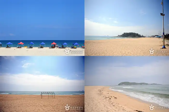 송지호 해변 전경 이미지