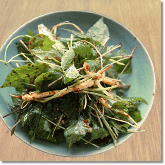 사포닌 효능 및 많은 음식과 주의점