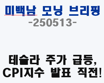 CPI 발표를 앞두고 미국 지수가 급등했습니다.
테슬라 중심으로 기술주들의 상승이 이어졌습니다.