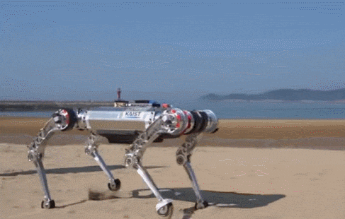 KAIST 로봇인공지능연구소, 4족 보행 로봇 개발 VIDEO: Raibo - dynamic and versatile quadrupedal robot