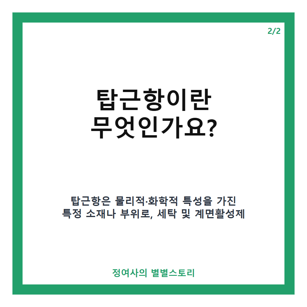 너무마른듯한 탑근항 추천과 전문 지식 기반 선택 가이드 카드뉴스 3