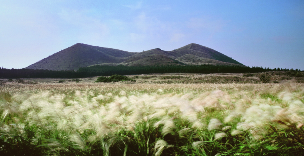가을 국내 여행지 추천 BEST 4 여행하기 좋은곳