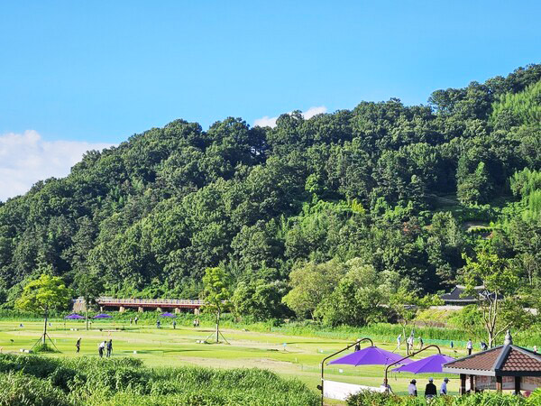 화순군 87홀 화순파크골프장 소개