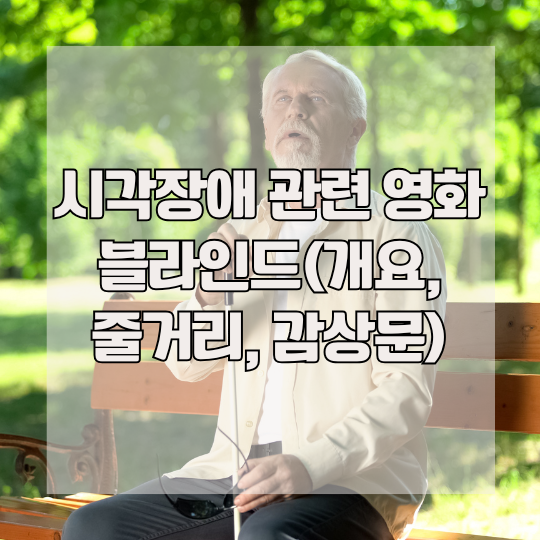 시각장애 관련 영화 블라인드(개요, 줄거리, 감상문)