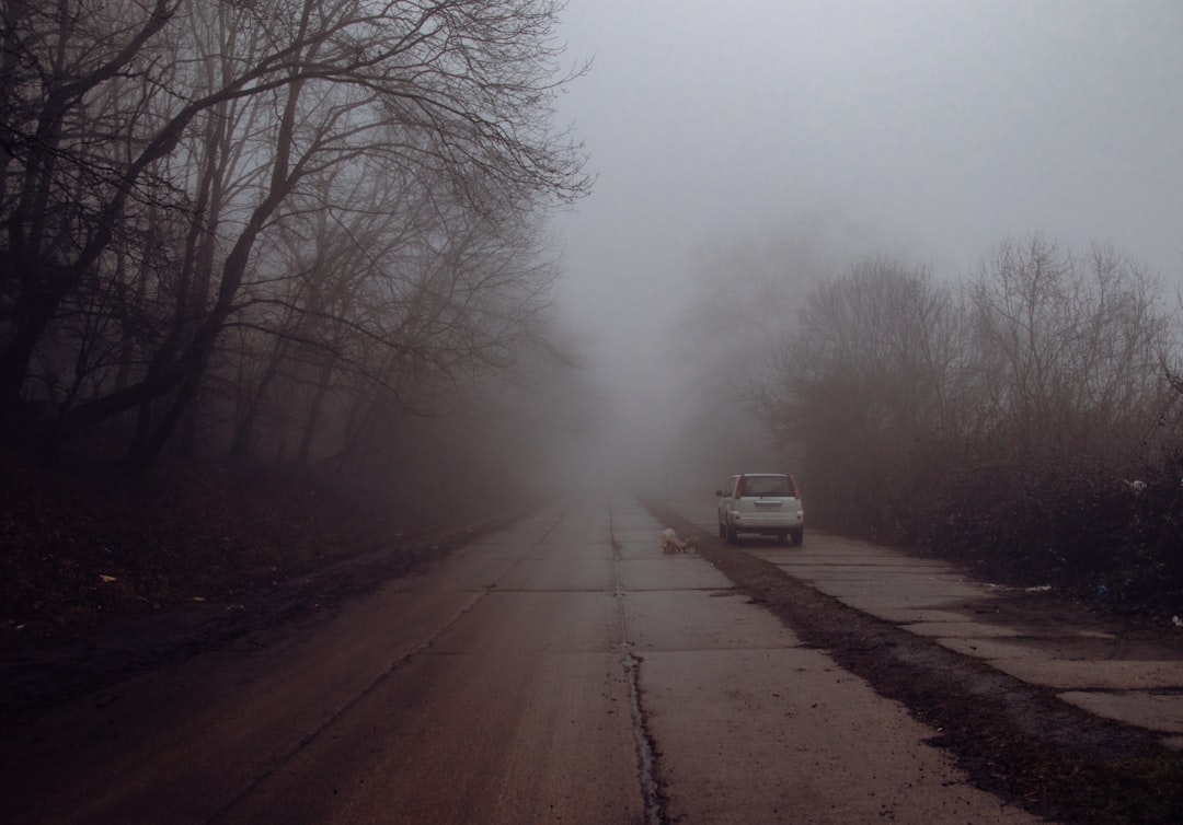 Atmosphere