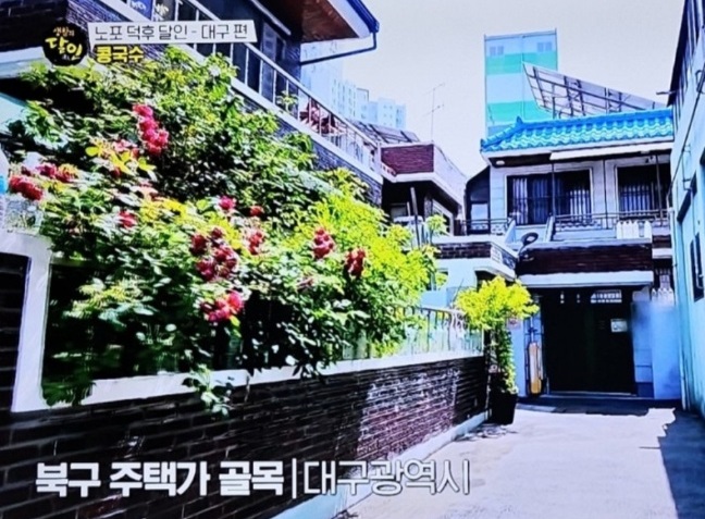 대구-옥순할매-콩국수-옥순손칼국수