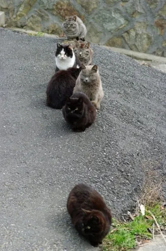 &amp;quot;일본