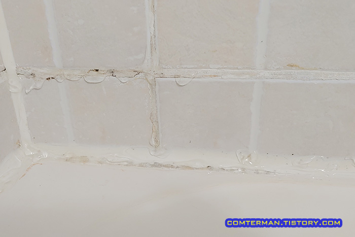 홈스타 곰팡이싹 2시간 뒤