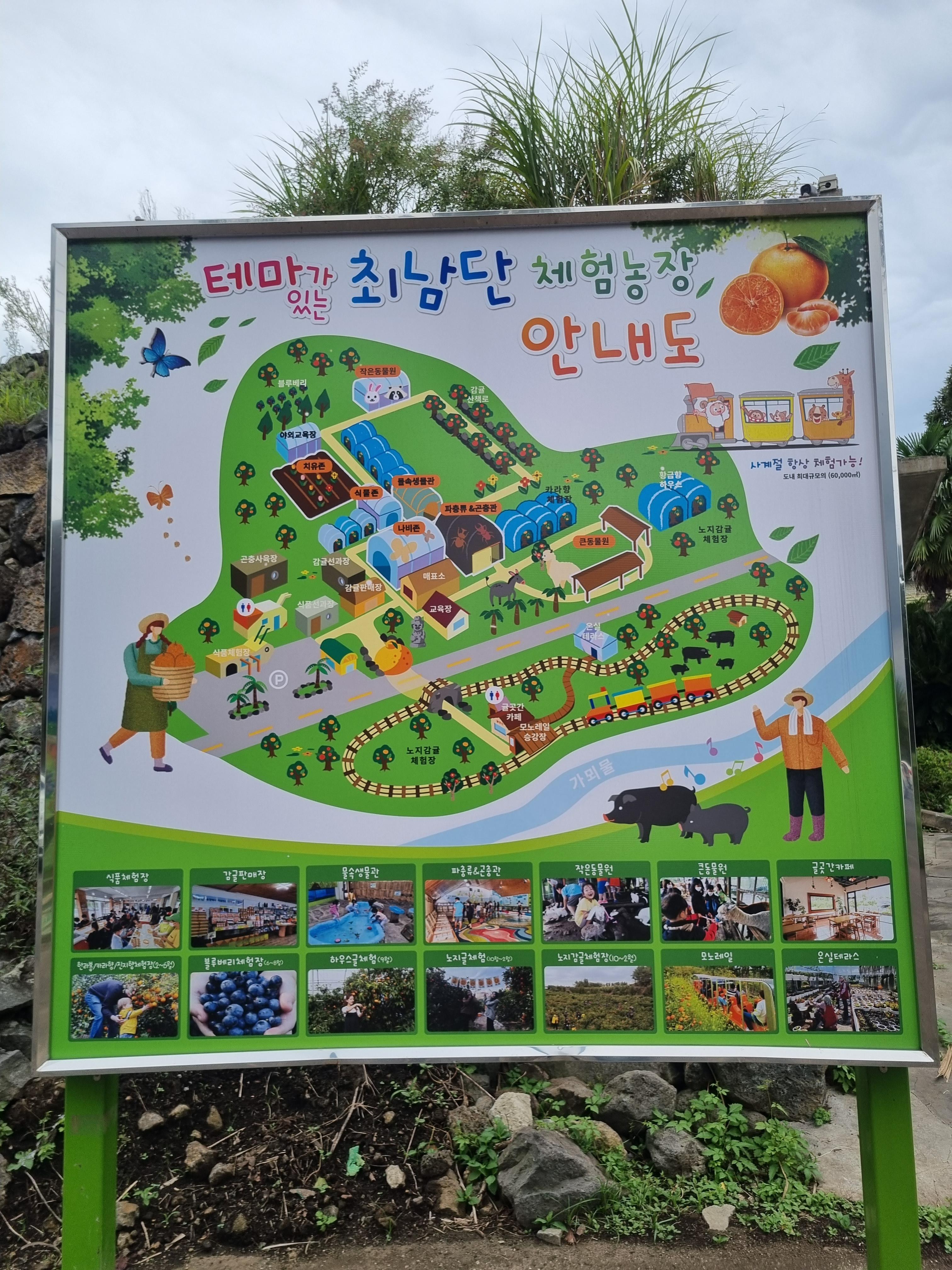 최남단 체험 감귤농장