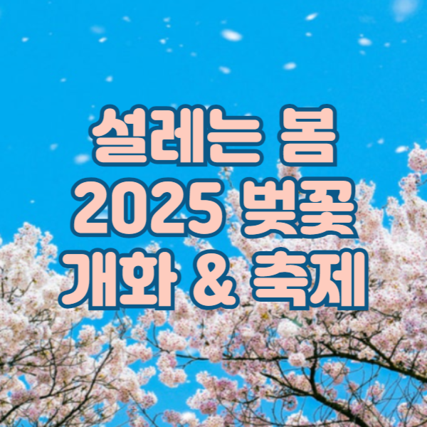 2025 벚꽃 개화시기