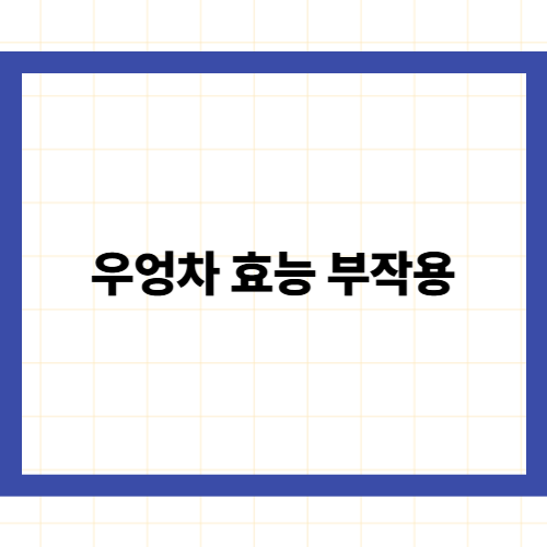 우엉차 효능 부작용