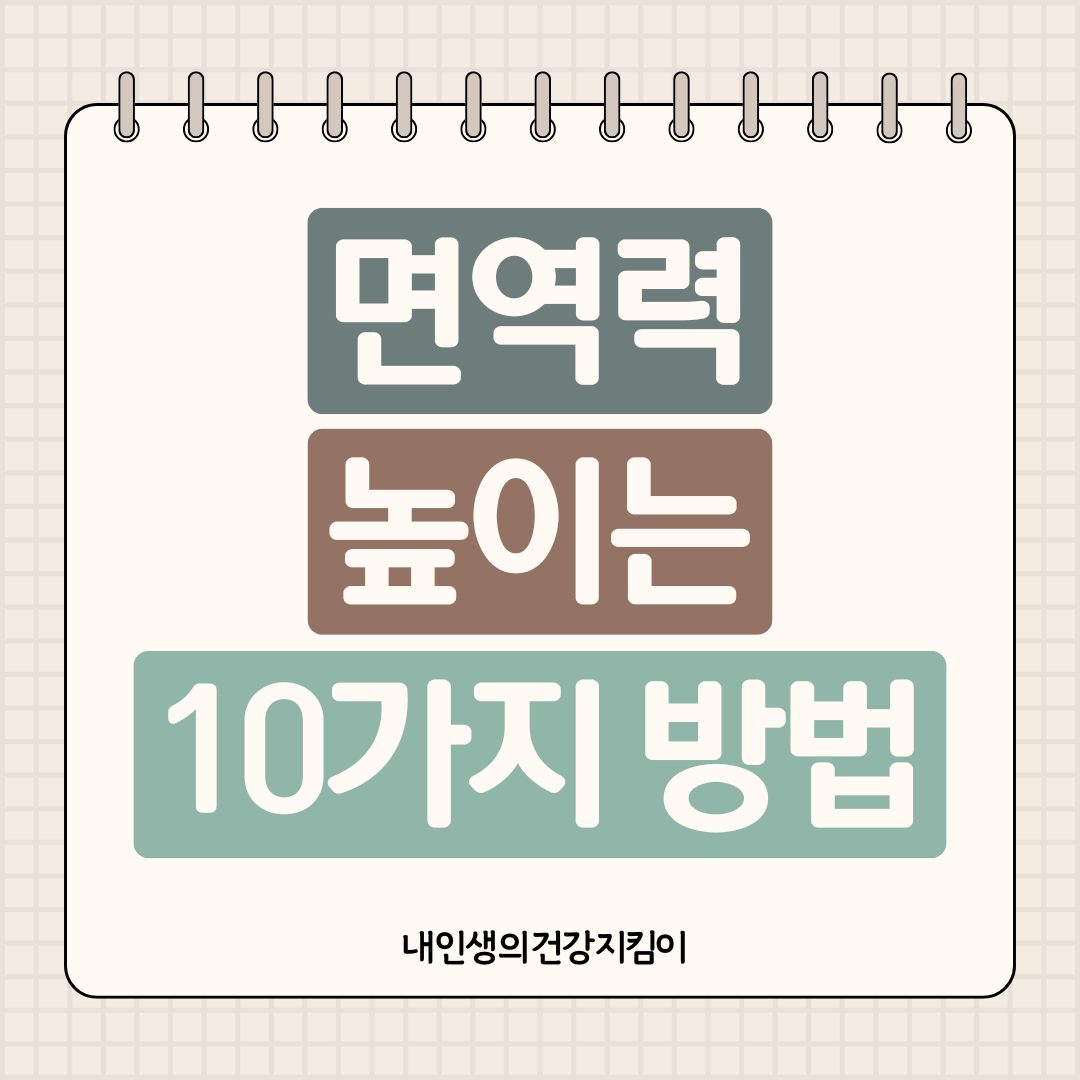 면역력 높이는 10가지 방법 실전 가이드