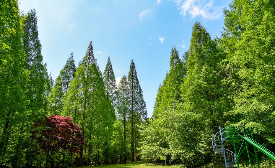 온빛자연휴양림예약 주차 위치