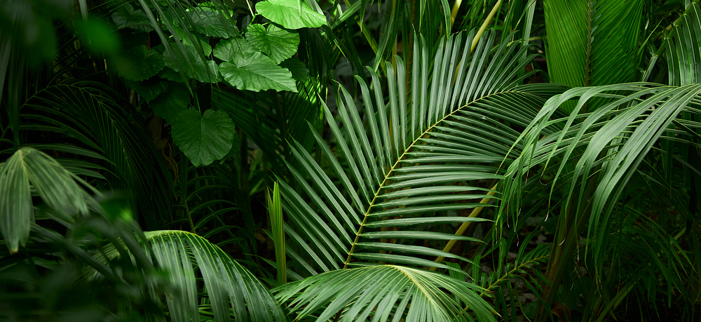 지구 온난화와 기후변화가 우리의 생활에 점점 더 큰 영향을 미치고 있기 때문에, 친환경 에너지 솔루션은 매우 중요한 이슈가 되었습니다