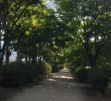 Alt 속성 문제 해결 설명 이미지