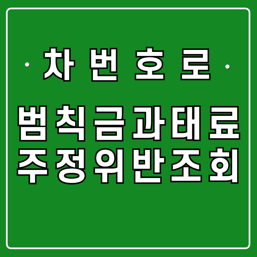 차량번호로 범칙금 과태료 조회