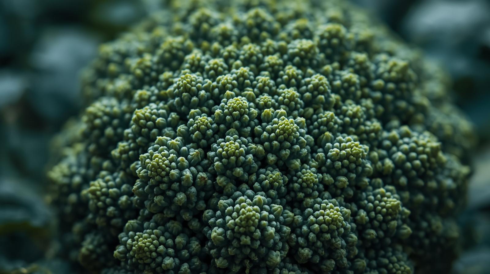 위염에 좋은 음식