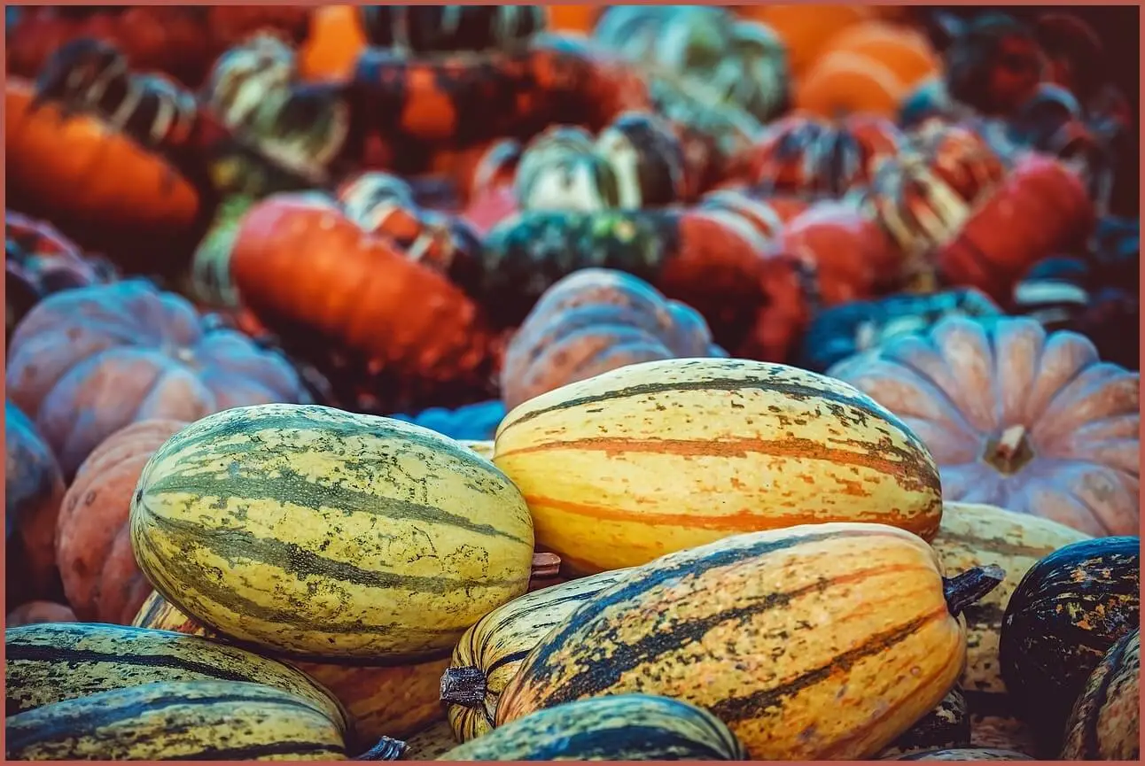 정기예금 금리비교