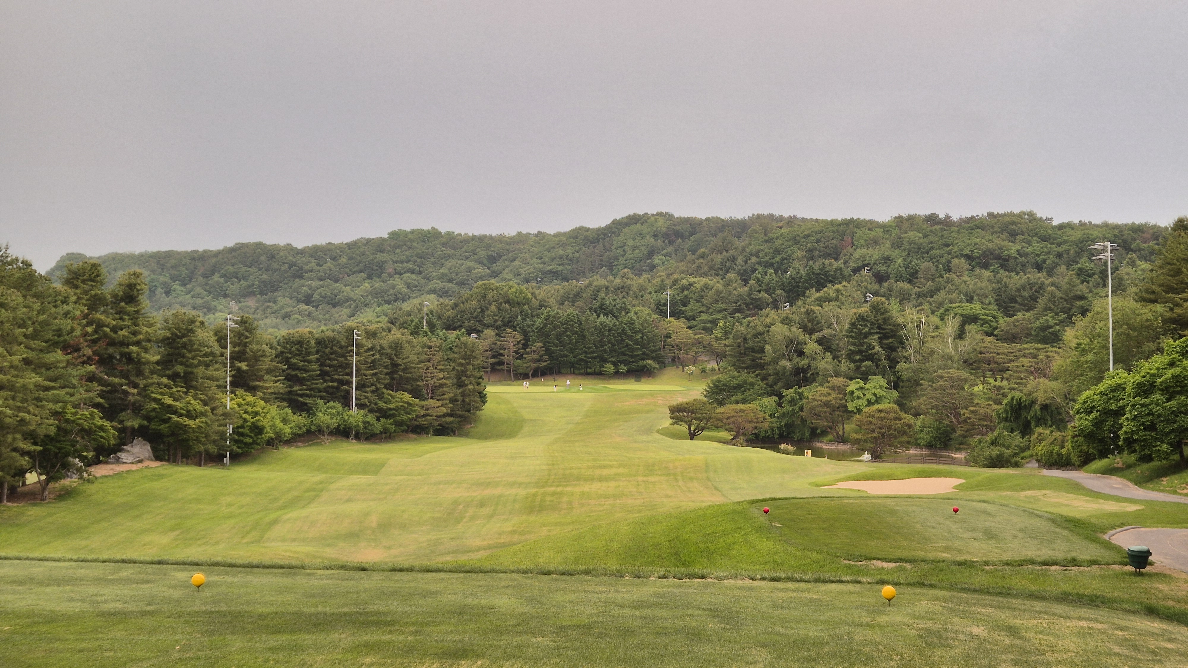 이포cc 라운드 후기