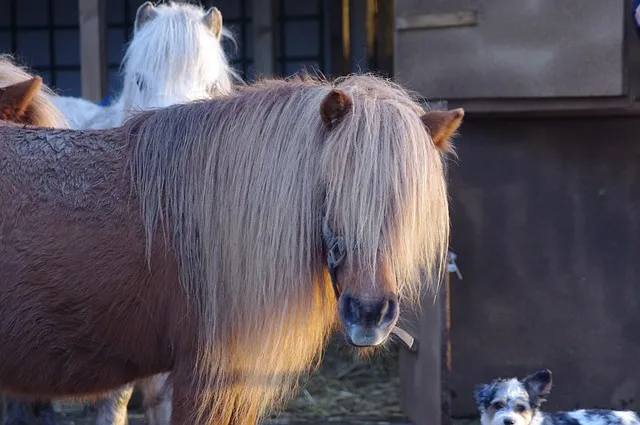 차상위계층 기준 혜택 확인방법 정리_8