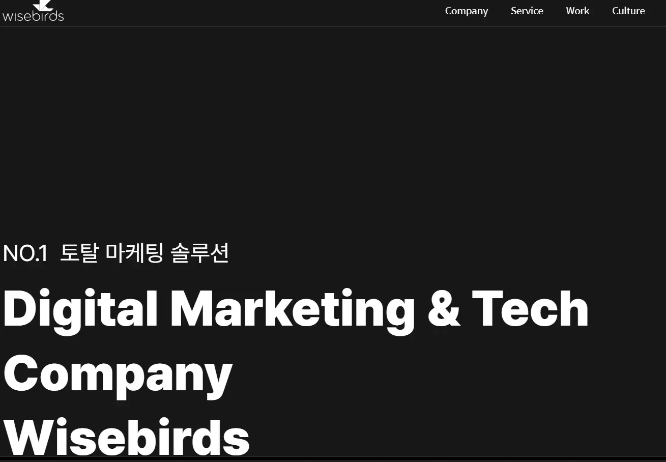 틱톡 Tiktok 관련주 수혜주