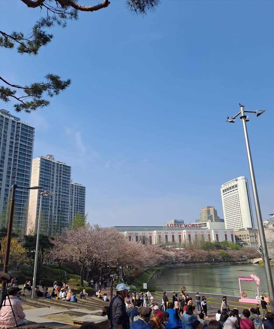 호수에서 따스하게 광합성 받는중