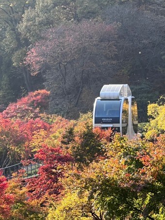 모노레일 예약 방법