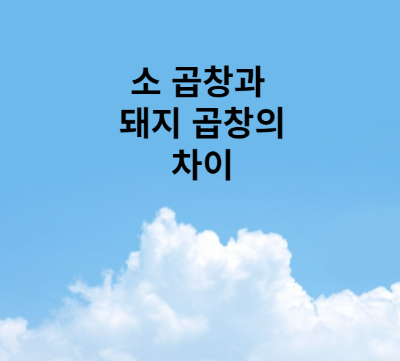 대표 포스터
