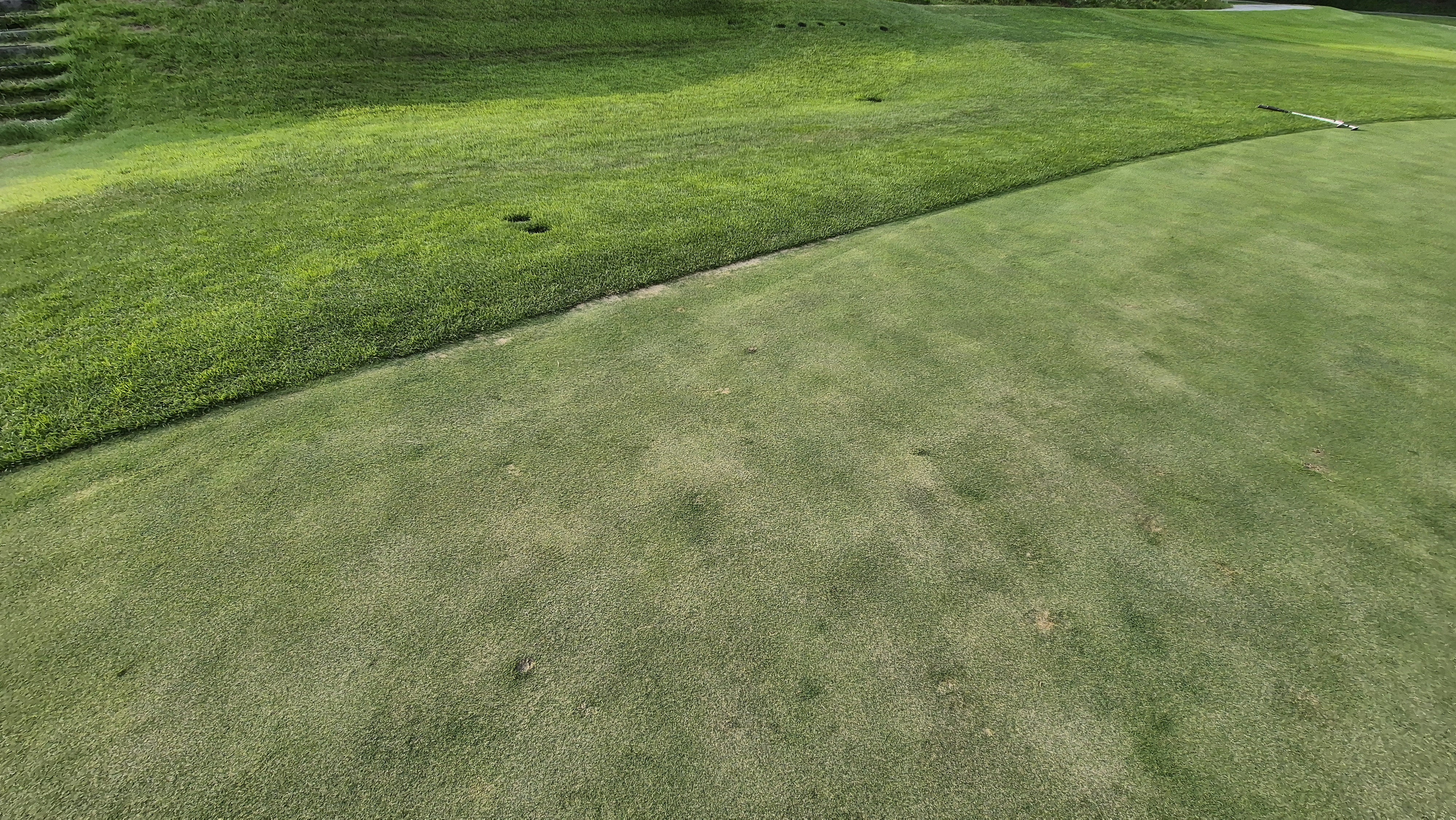 참밸리cc 라운드 후기