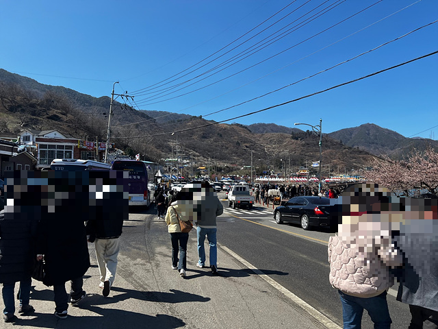 24년 광양 매화 축제 일정 요금 주차