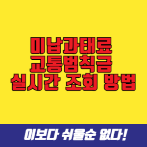 미납과태료&nbsp; 교통범칙금&nbsp; 실시간 조회 방법
