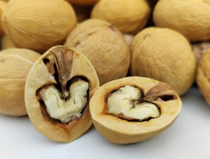 호두과자 창업에 대하여 알아보기