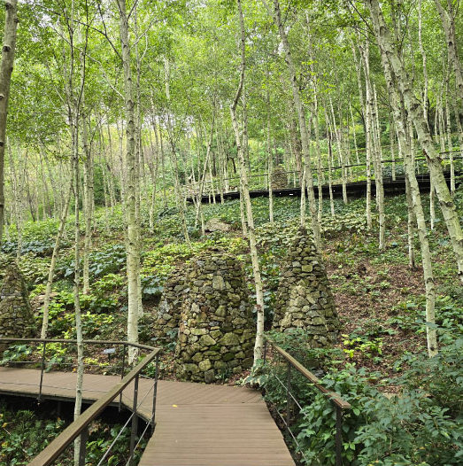 화담숲 예매 방법 주의사항