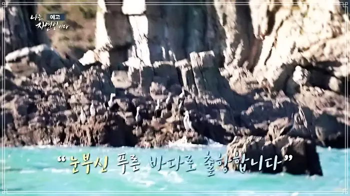 나는-자연인이다-이승윤