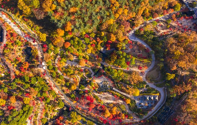 가을단풍명소 화담숲 모노레일 예약 요금 이용시간