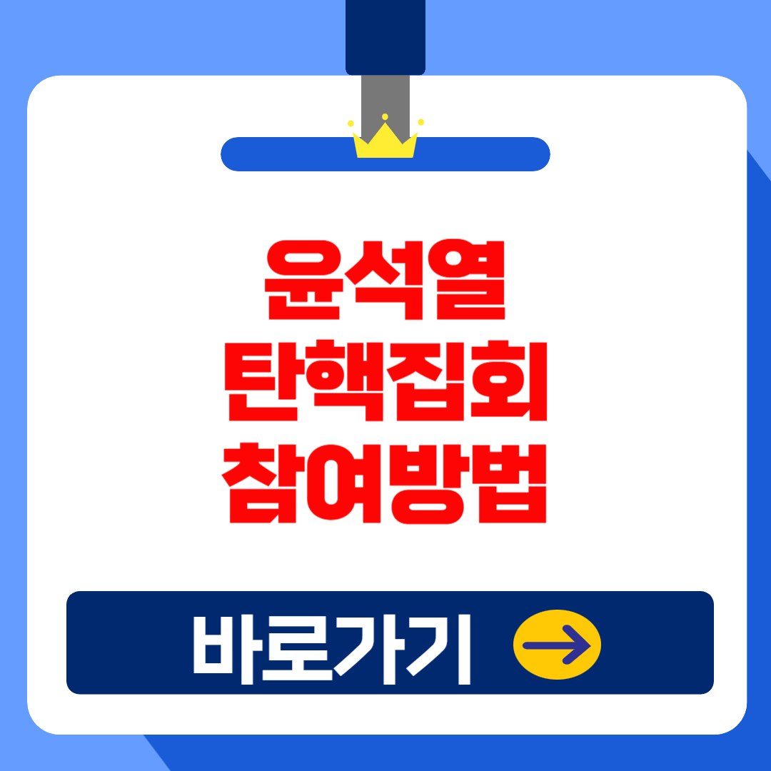 2024 12월 서울 윤석열 탄핵 집회 참여 방법(일정, 장소,준비물, 교통) 총정리