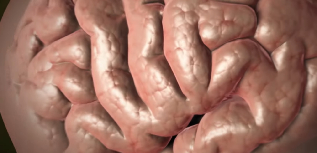 무기력증 자가진단