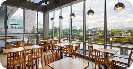 국립중앙박물관 관람시간부터 입장료,주차정보,어린이박물관 정보까지