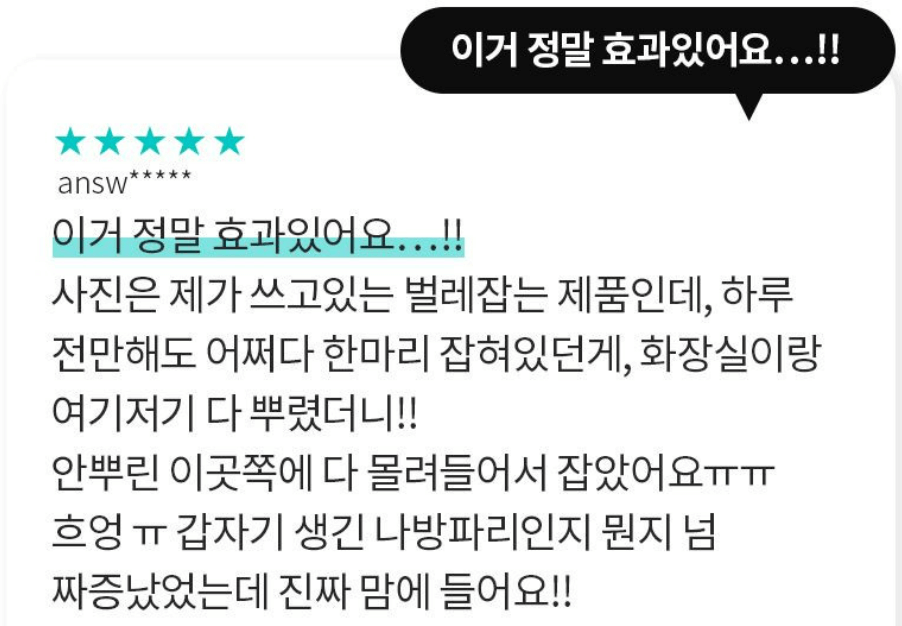 빈대 퇴치제(빈대 살충제) 순위 및 추천 TOP 5