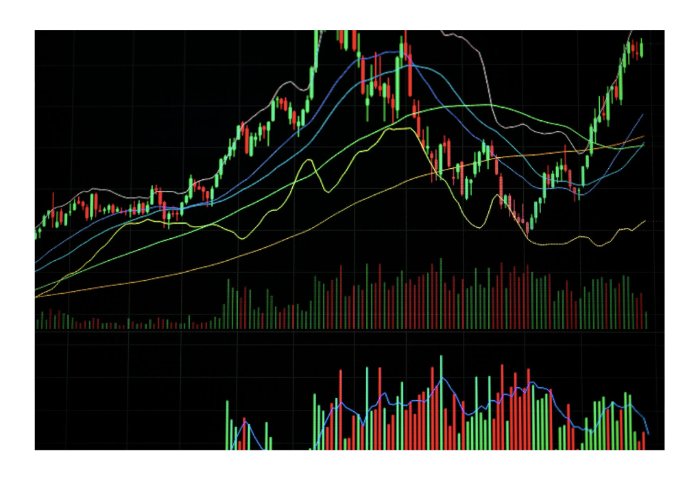 미국 네마녀의날