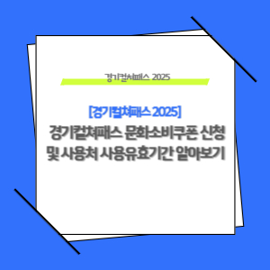 경기컬쳐패스