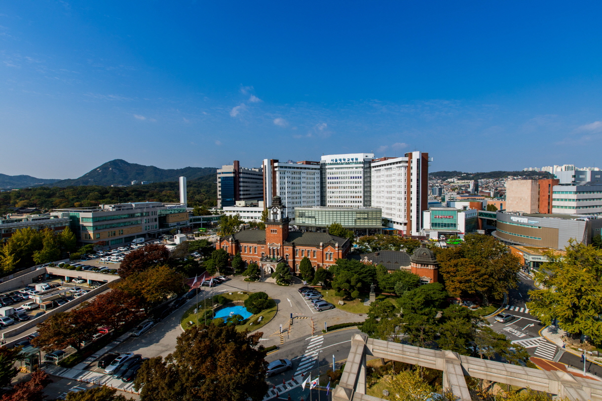 한국형 의료 AI