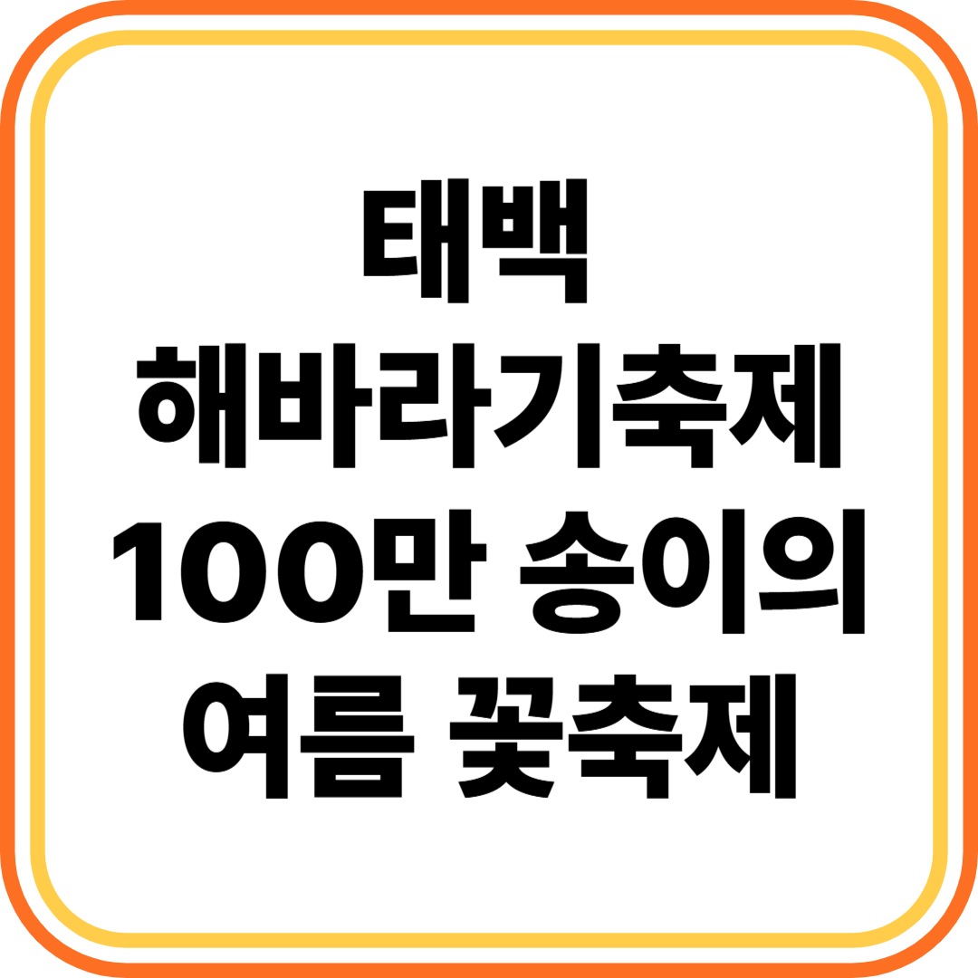 태백 해바라기축제